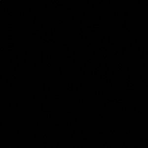 Meet your Posher, Abbey